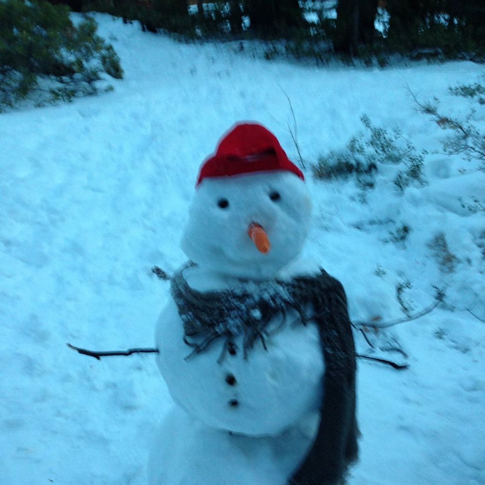 Meet your Posher, Dawn